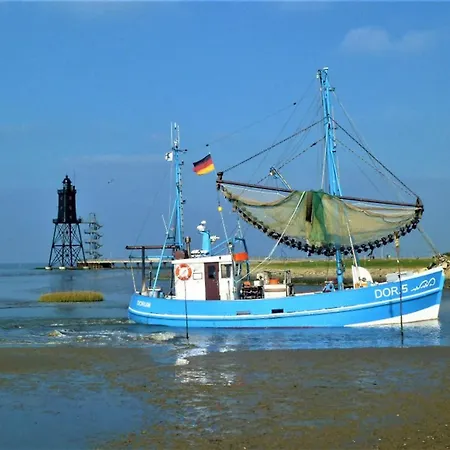 Borkum 6 Dorumer Neufeld